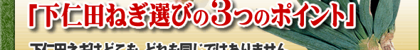下仁田ネギの選び方