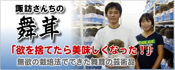 諏訪さんちの舞茸(まいたけ)
